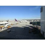 Zdjęcia użytkowników Huawei Mate 10 Pro Zdjęcia użytkowników Huawei Mate 10 Pro