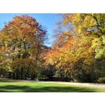 Zdjęcia użytkowników Huawei Mate 10 Pro Zdjęcia użytkowników Huawei Mate 10 Pro