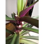 Zdjęcia użytkowników Huawei Mate 10 Pro Zdjęcia użytkowników Huawei Mate 10 Pro