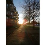 Zdjęcia użytkowników Huawei Mate 20 Lite