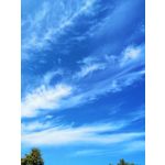 Zdjęcia użytkowników Huawei Mate 20 Lite