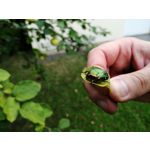 Zdjęcia użytkowników Huawei Mate 20 Lite