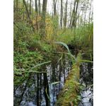 Zdjęcia użytkowników Huawei Mate 20 Pro Zdjęcia użytkowników Huawei Mate 20 Pro