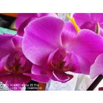 Zdjęcia użytkowników Huawei Mate 20 Pro Zdjęcia użytkowników Huawei Mate 20 Pro