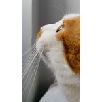 Zdjęcia użytkowników Huawei Mate 20 Pro Zdjęcia użytkowników Huawei Mate 20 Pro