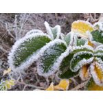 Zdjęcia użytkowników Huawei Mate 20 Pro Zdjęcia użytkowników Huawei Mate 20 Pro