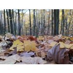 Zdjęcia użytkowników Huawei Mate 20 Pro Zdjęcia użytkowników Huawei Mate 20 Pro