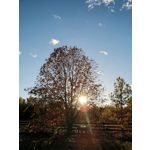 Zdjęcia użytkowników Huawei Mate 20 Pro Zdjęcia użytkowników Huawei Mate 20 Pro