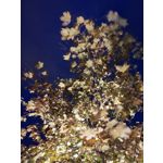 Zdjęcia użytkowników Huawei Mate 20 Pro Zdjęcia użytkowników Huawei Mate 20 Pro