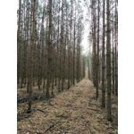 Zdjęcia użytkowników Huawei Mate 20 Pro Zdjęcia użytkowników Huawei Mate 20 Pro