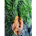 Zdjęcia użytkowników Huawei Mate 20 Pro Zdjęcia użytkowników Huawei Mate 20 Pro