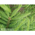 Zdjęcia użytkowników Huawei Mate 20 Pro Zdjęcia użytkowników Huawei Mate 20 Pro