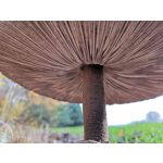 Zdjęcia użytkowników Huawei Mate 20 Pro Zdjęcia użytkowników Huawei Mate 20 Pro