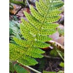 Zdjęcia użytkowników Huawei Mate 20 Pro Zdjęcia użytkowników Huawei Mate 20 Pro