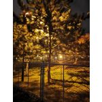 Zdjęcia użytkowników Huawei Mate 20 Pro Zdjęcia użytkowników Huawei Mate 20 Pro