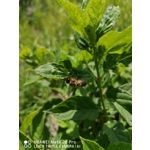 Zdjęcia użytkowników Huawei Mate 20 Pro Zdjęcia użytkowników Huawei Mate 20 Pro