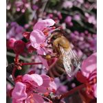 Zdjęcia użytkowników Huawei Mate 20 Pro