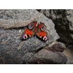 Zdjęcia użytkowników Huawei Mate 20 Pro Zdjęcia użytkowników Huawei Mate 20 Pro