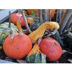 Zdjęcia użytkowników Huawei Mate 20 Pro Zdjęcia użytkowników Huawei Mate 20 Pro