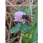 Zdjęcia użytkowników Huawei Mate 20 Pro Zdjęcia użytkowników Huawei Mate 20 Pro