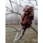 Zdjęcia użytkowników Huawei Mate 20 Pro Zdjęcia użytkowników Huawei Mate 20 Pro