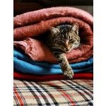 Zdjęcia użytkowników Huawei Mate 20 Pro Zdjęcia użytkowników Huawei Mate 20 Pro