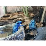 Zdjęcia użytkowników Huawei Mate 20 X 5G