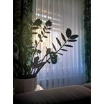 Zdjęcia użytkowników Huawei Mate 20