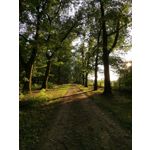 Zdjęcia użytkowników Huawei Mate 20