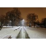 Zdjęcia użytkowników Huawei Mate 40 Pro