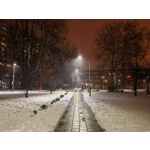 Zdjęcia użytkowników Huawei Mate 40 Pro