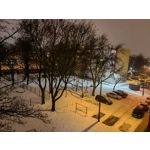 Zdjęcia użytkowników Huawei Mate 40 Pro