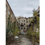 Zdjęcia użytkowników Huawei Mate 40 Pro