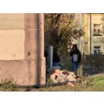 Zdjęcia użytkowników Huawei Mate 50 Pro