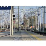 Zdjęcia użytkowników Huawei Mate 50 Pro