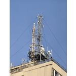 Zdjęcia użytkowników Huawei Mate 50 Pro