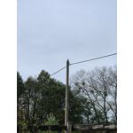 Zdjęcia użytkowników Huawei Mate 50 Pro
