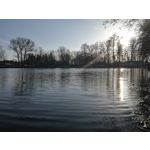 Zdjęcia użytkowników Huawei Mate 9 Pro Zdjęcia użytkowników Huawei Mate 9 Pro