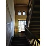 Zdjęcia użytkowników Huawei Mate S