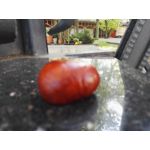 Zdjęcia użytkowników Huawei Mate S