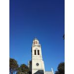 Zdjęcia użytkowników Huawei Mate S