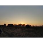 Zdjęcia użytkowników Huawei Mate S