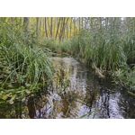 Zdjęcia użytkowników Huawei Mate Xs 2 Zdjęcia użytkowników Huawei Mate Xs 2