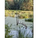 Zdjęcia użytkowników Huawei Mate Xs 2 Zdjęcia użytkowników Huawei Mate Xs 2