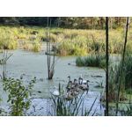 Zdjęcia użytkowników Huawei Mate Xs 2 Zdjęcia użytkowników Huawei Mate Xs 2