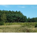 Zdjęcia użytkowników Huawei Mate Xs 2 Zdjęcia użytkowników Huawei Mate Xs 2