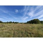 Zdjęcia użytkowników Huawei Mate Xs 2 Zdjęcia użytkowników Huawei Mate Xs 2