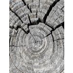 Zdjęcia użytkowników Huawei Mate Xs 2 Zdjęcia użytkowników Huawei Mate Xs 2