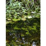 Zdjęcia użytkowników Huawei Mate Xs 2 Zdjęcia użytkowników Huawei Mate Xs 2