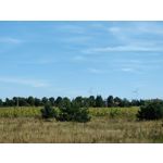 Zdjęcia użytkowników Huawei Mate Xs 2 Zdjęcia użytkowników Huawei Mate Xs 2